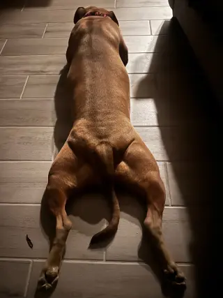 LOLA #16