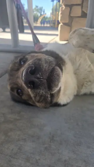 MARNIE