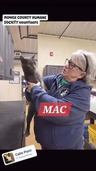 Mac
