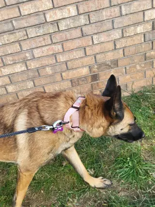 Roxanne located in New Mexico (aka Roxie)