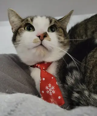 Richard