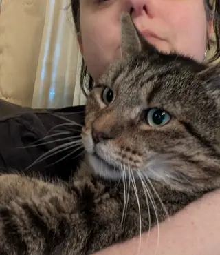 Junior (Best Lap Cat!)