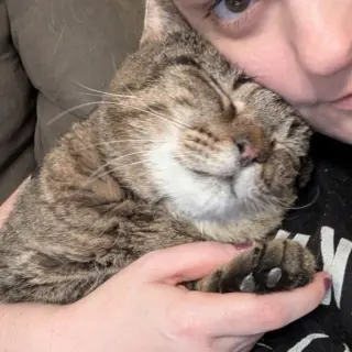 Junior (Best Lap Cat!)