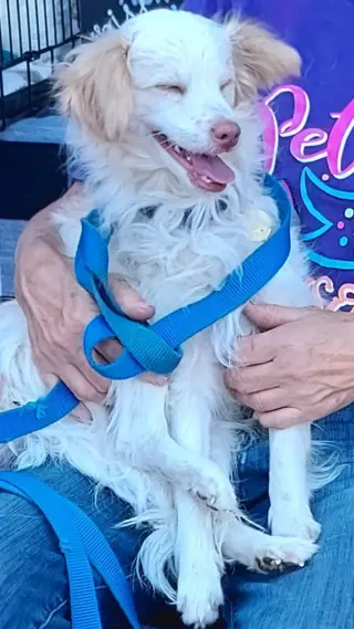 Benny