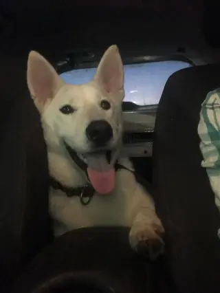 Jake