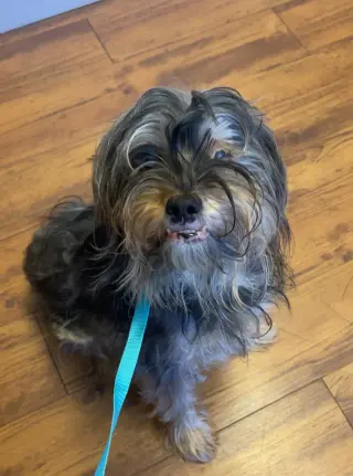 CHARLIE, SWEET, SWEET GRATEFUL BOY
