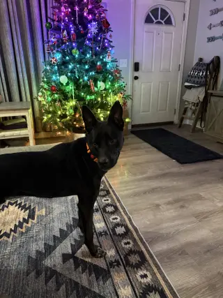 Milo