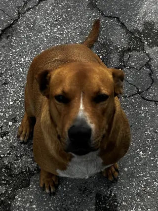 COURTESY POST: Mia & Canela