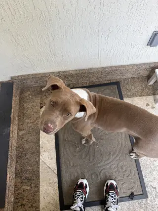 COURTESY POST: Mila