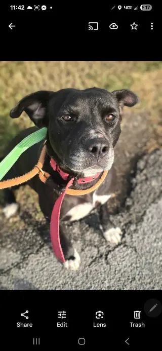 India - sweet soulful girl