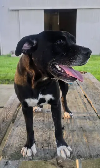 India - sweet soulful girl