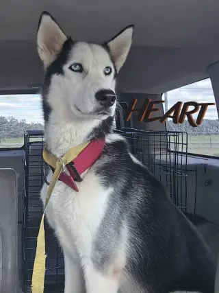 Geo