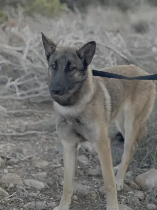 Reign fka Sandra - located in CO
