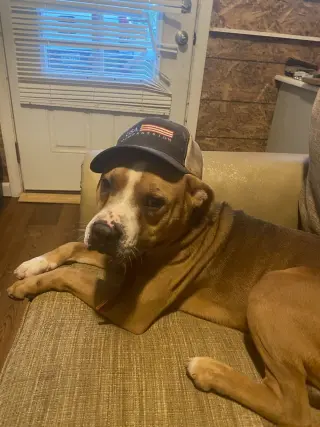 Brocho - A Total Sweetheart