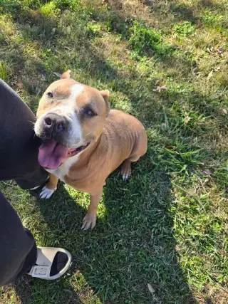 Brocho - A Total Sweetheart
