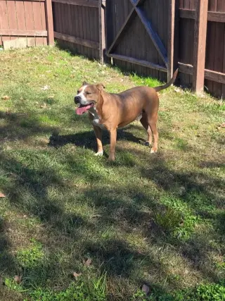 Brocho - A Total Sweetheart