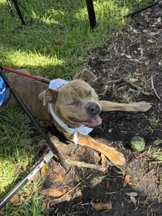 Xena