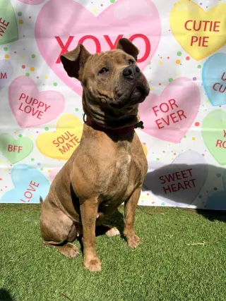 Xena