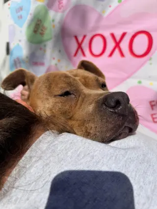 Xena