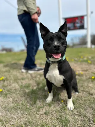 Marcy