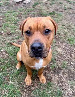 Ivy (from NYC)