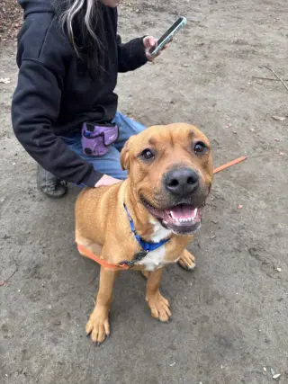Ivy (from NYC)