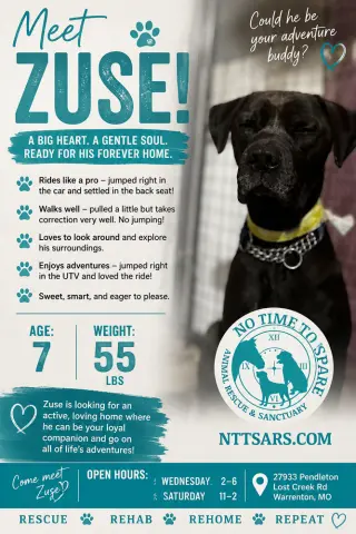 Zuse