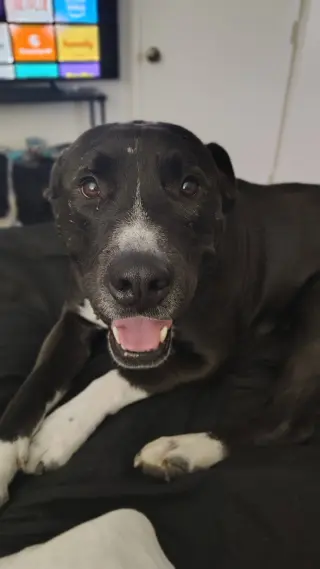 BILLY #2