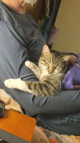 Wink (bonded to Perry)
