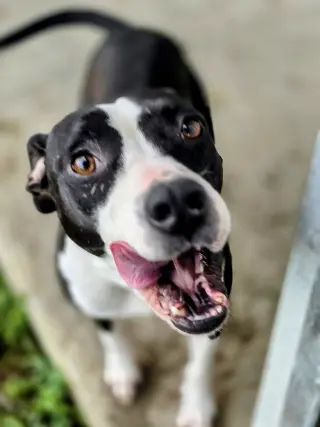 Grace - Confident and Quirky Girl