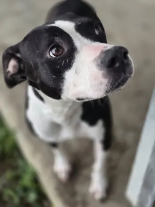 Grace - Confident and Quirky Girl