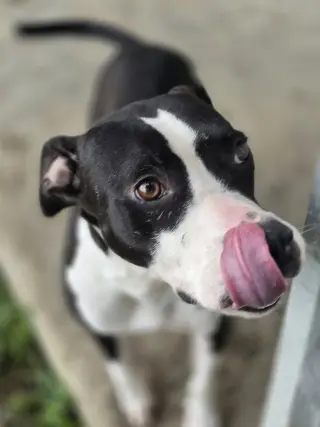 Grace - Confident and Quirky Girl