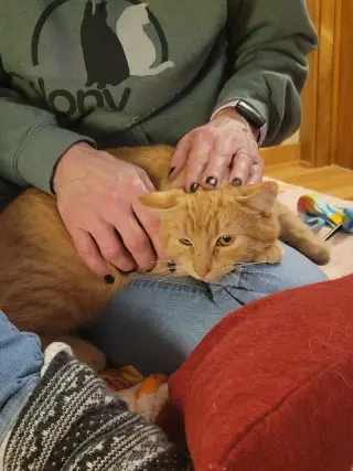 Perry (bonded to Wink)