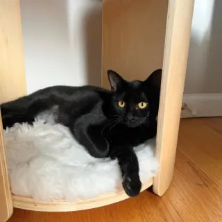 Elodie