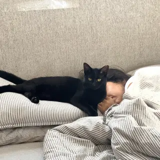 Elodie
