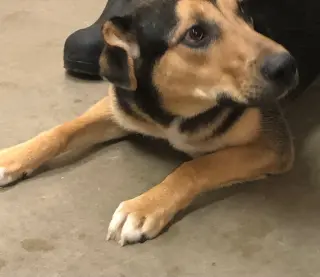 Jax