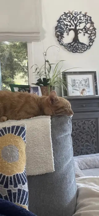 Chester