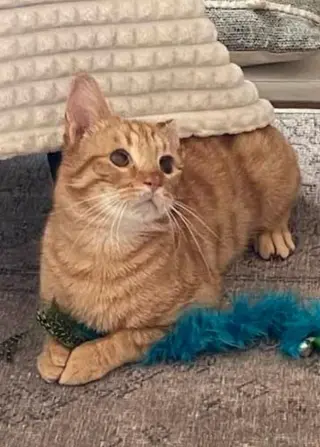 Chester