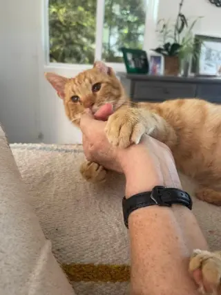 Chester