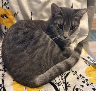 April #snuggle-queen