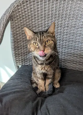 Abbie
