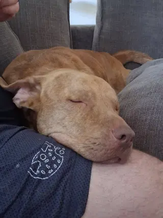Bruce