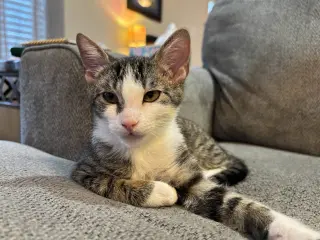 Freya