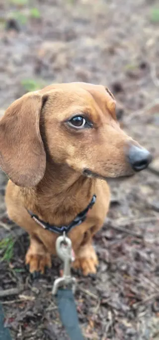 Luke in NC
