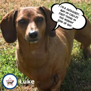 Luke in NC