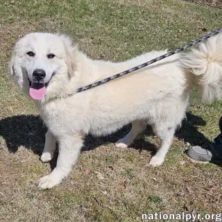 Luna in NJ - Gives Sweet Kisses!