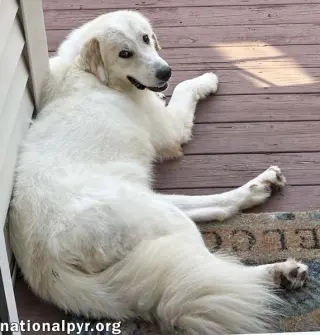 Luna in NJ - Gives Sweet Kisses!