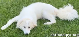Luna in NJ - Gives Sweet Kisses!