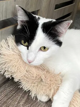 MAMA GABBY