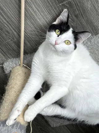 MAMA GABBY